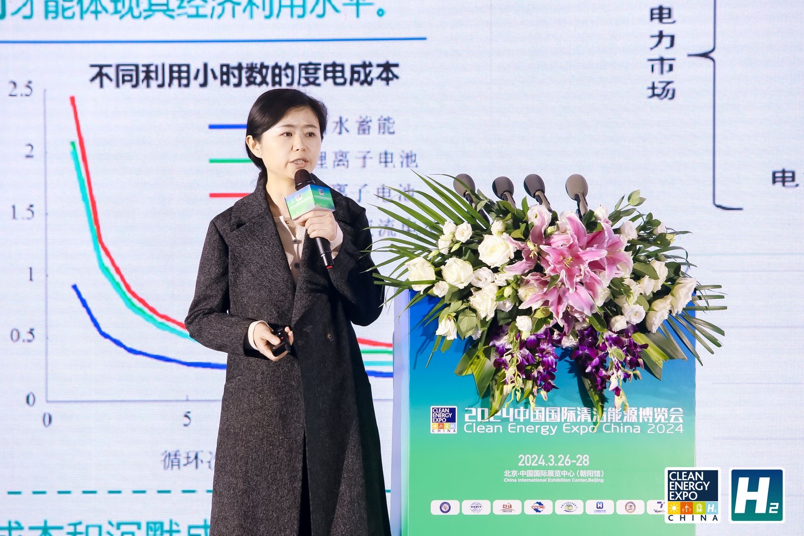 10中国电力科学研究院储能与电工所高级工程师 马会萌.JPG